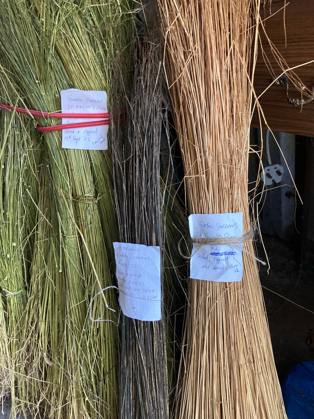 Pulling, drying, retting the&nbsp;flax